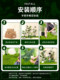 Artificial Green Plant Landscaping Combination for Indoor Hotel Courtyard Entrance Decoration, Internet Cafe, Shopping Mall Window Display, and Fake Plants