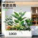 Artificial Green Plant Landscaping Combination for Indoor and Outdoor Partitions, Fake Flower Arrangements, Floor-Standing Flower Boxes and Planters for Shopping Malls, Stores, and Sales Offices