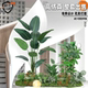 Simulated Green Plant Landscape, Tropical Plant Landscaping Combination, Indoor Shopping Mall Window Decoration, Coconut Tree, Villa Staircase Decoration