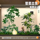 Artificial Green Plant Landscaping Combination for Indoor Balconies, Window Displays, and Under-Stair Decorations; Faux Plant Landscapes for Bar Atmosphere Setup