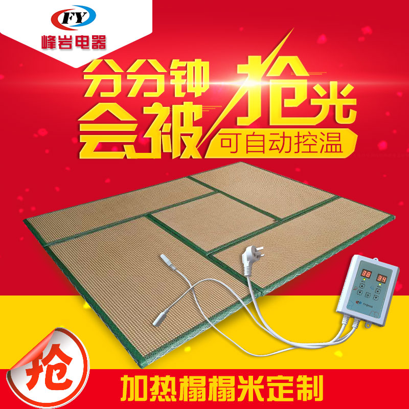 Japanese tatami mat custom electric heating collapse rice kang mat and room coconut palm stepping rice mattress Tatami mat