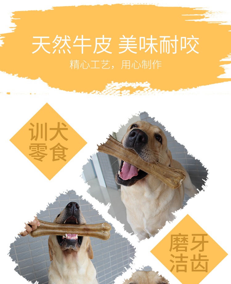 Chó, bò, xương, răng hàm, đồ ăn nhẹ cho chó, chó con, răng, răng, que, tóc vàng, labrador, đồ ăn nhẹ, nhai cám royal canin