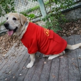 Новая годовалая одежда Большие собаки праздничные теплые плюс бархат