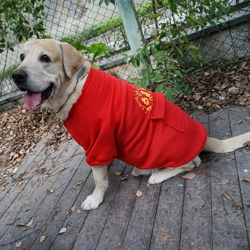 Новая годовалая одежда Большие собаки праздничные теплые плюс бархат