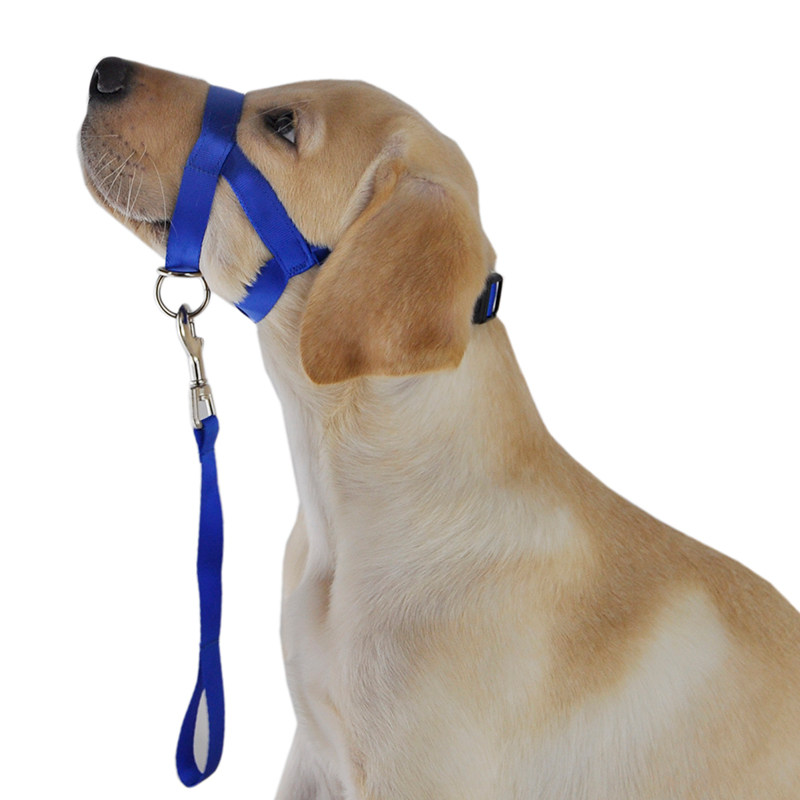 Pet Dog Correction Poppunch Traction Rope Anti-Pick Up Mouth Cover Travel Mask Anti-Mess Eating Medium Large Dog Breathable Dog Hood