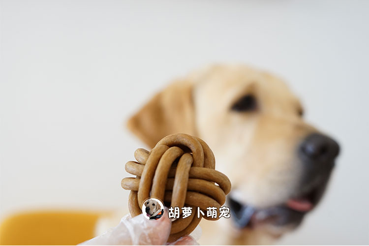 Nhỏ bóng gân mọc răng kem đánh răng hôi miệng co giật chó kháng chó nhai vật nuôi điều trị xương Quả bóng vàng đồ ăn cho chó