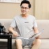 Mùa hè cotton mens đồ ngủ cha mỏng ngắn tay quần short mùa hè quần áo đầy đủ bông nhà giữa năm cộng với kích thước phù hợp. 