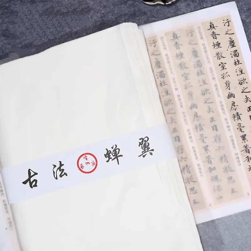 宣艺斋做旧古法蝉衣宣艺斋蝉翼竹浆皮纸雁皮手工纸草木染仿古半生熟行书草书写小楷书法毛笔国画宣纸包装宣纸