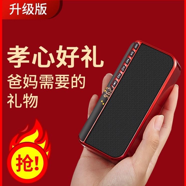 Vanlida T11 Mini-Card U pan radio small speaker for elderly portable mini music player