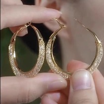 Outlet Discount Store Clearance Clearance 18K Niche Style Mesh Crystal Unique Earrings