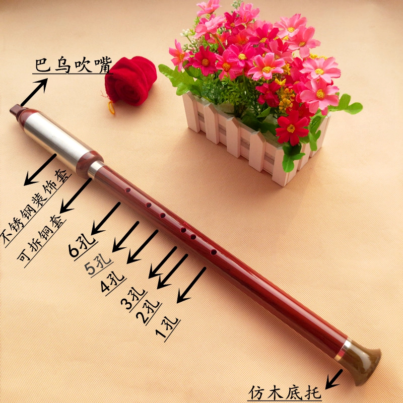 Vân Nam nhựa bakelite thổi thẳng đứng Bawu G-F F có thể điều chỉnh cho người mới bắt đầu chơi nhạc cụ quốc gia có thể tháo rời đàn cổ cầm giá rẻ