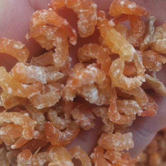 山东威海荣成大金钩海米大老婆虾500克包邮干干净很干