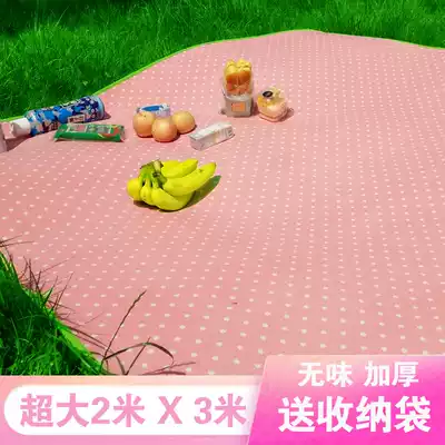 Outdoor outing moisture-proof mat Field carpet Picnic travel lawn mat Park children portable foldable