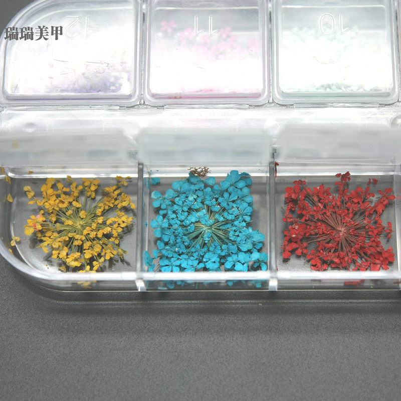 Dụng cụ làm móng Nail Snowdrops Hoa khô tự nhiên Hoa ép 12 Bộ màu - Công cụ Nail dũa móng