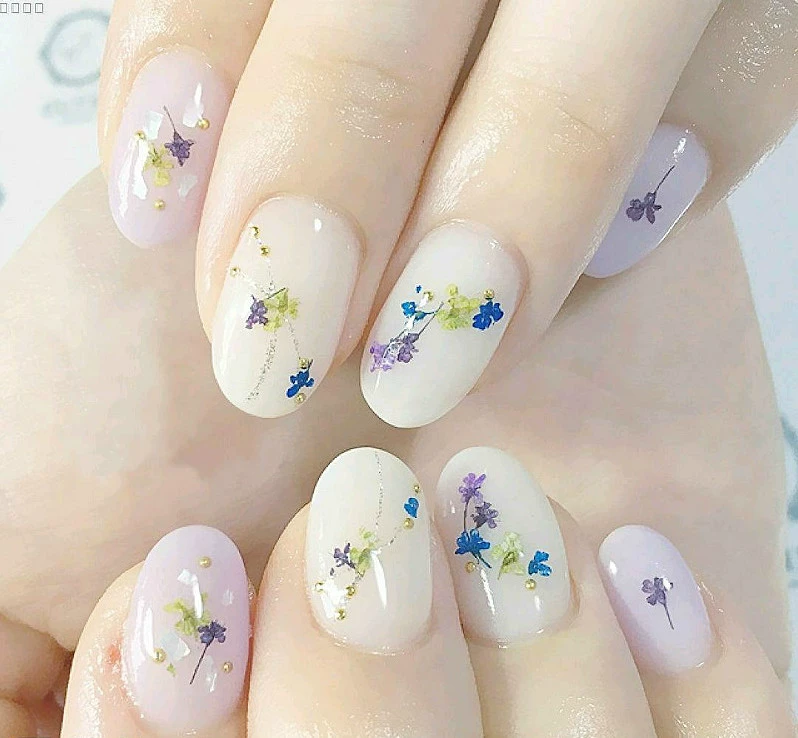 Dụng cụ làm móng Nail Snowdrops Hoa khô tự nhiên Hoa ép 12 Bộ màu - Công cụ Nail máy vẽ móng tay