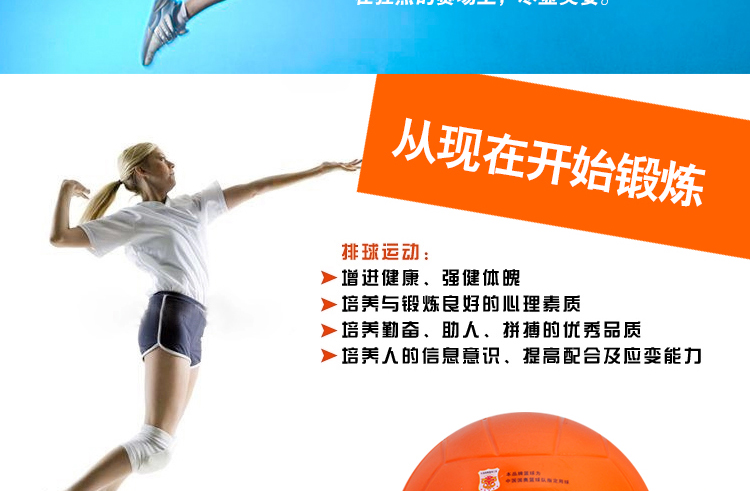 Ballon de volley - Ref 2013390 Image 6