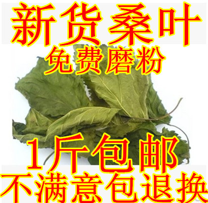 Chinese herbal cream mulberry leaf winter mulberry leaf tea fresh dried mulberry leaf 500g