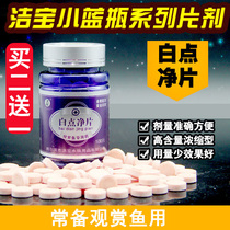 White point net film small melon insect ornamental fish aquarium fish tank tropical fish koi goldfish sterilization fish medicine white spot disease