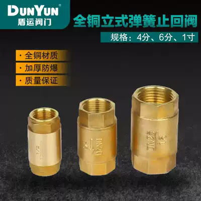 Shield transport vertical check valve all copper thick water pump water pipe toilet water meter check valve spring check valve 4 points 6 points