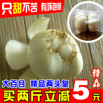 500g fresh lily two ends Huangzhou fresh lily sweet Lily vacuum good Lily Lanzhou Lily