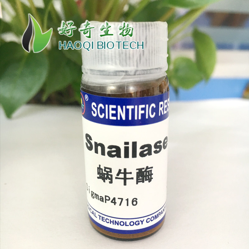 Snailase 蜗牛酶 生化科研实验室生物试剂 1g
