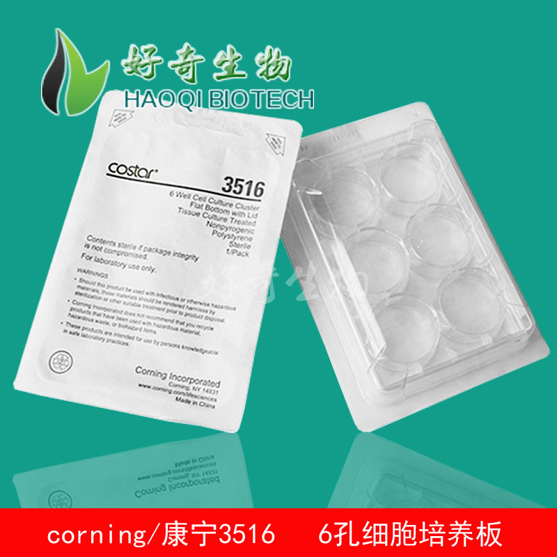 康宁corning  6孔细胞培养板 3516 独立包装 无菌TC表面 1个/包
