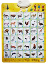  Mongolian music wall chart Early education map Mongolian Chinese-English Trilingual sound wall chart Pattern sound wall chart