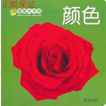 Guaranteed to be genuine} Baby Big Card Book: Color Edited by Dolphin Media 9787539438047 Hubei North America