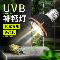 Led turtle light UVA UVB full spectrum sun light little turtle light back light turtle cylinder light calcium supplement three-in-one