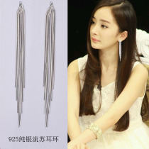Fashion tassel 2021 new earrings female long temperament super fairy net red personality simple hypoallergenic silver needle earrings