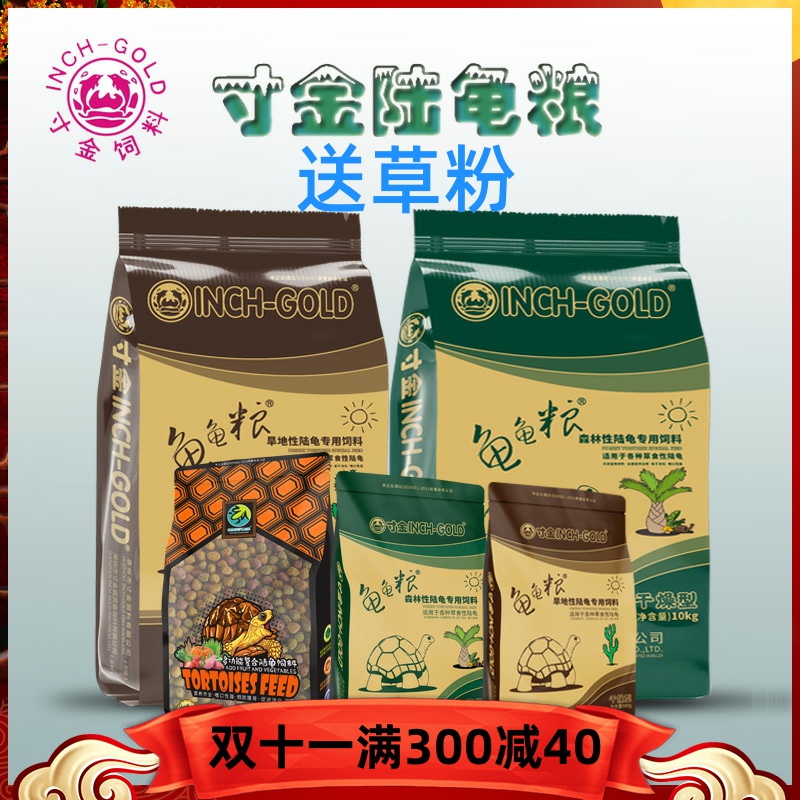 Inch gold tortoise grain feed red legs rain turtle desert turtle feed star turtle turtle grain replace Mazury