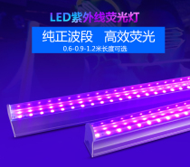 LED ultraviolet fluorescent tube UV glue curing light bar stage performance T8 purple light 395 band KTV currency verification