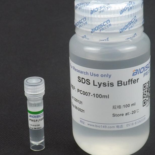 SDS裂解液 配置溶液 试剂盒 科研实验专用 蛋白提取 高品质裂解液