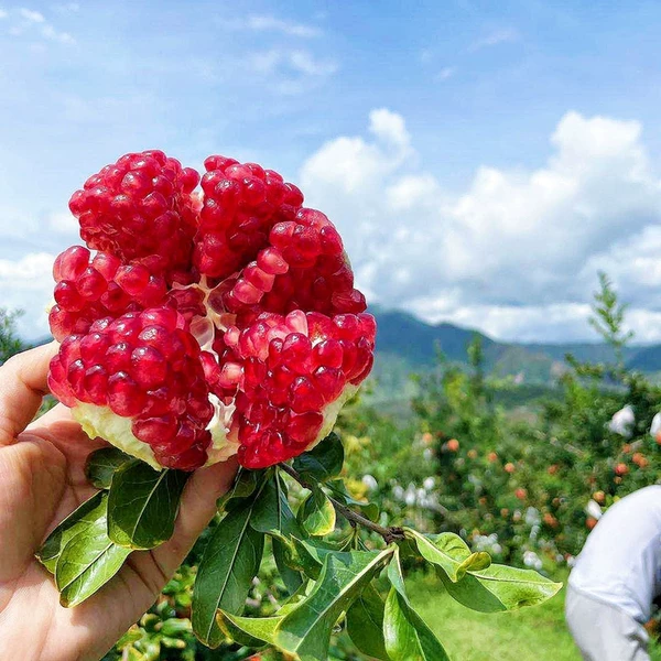 Товары от 5201314与你好