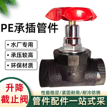 PE pipe socket pipe fitting lift globe valve ball valve all copper gate valve water pipe joint fittings valve switch 20 25