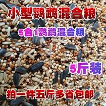 Tiger skin peony Xuanfeng small and medium-sized parrot bird food feed five-color millet parrot mixed nutrition grain Millet