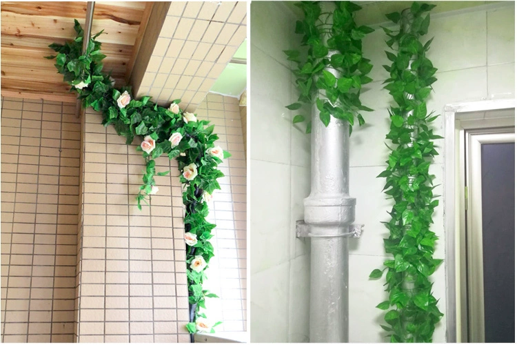 Mô phỏng lá nho mây lá nhựa dây leo hoa giả cây xanh lá cây nho ống quanh co trang trí trần - Hoa nhân tạo / Cây / Trái cây