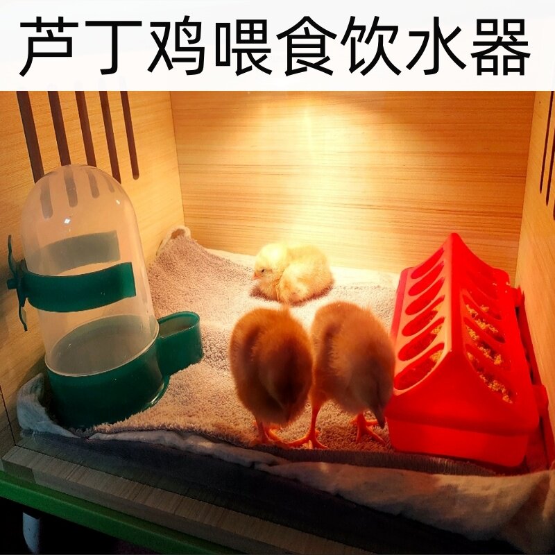 芦丁鸡喂食器小鸡饲料食槽喝水器鸟喂食神器喂水器鹌鹑自动饮水器
