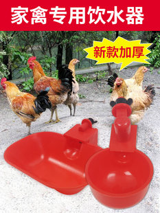Цыпленок пейте много воды питьевой Кормите курицу, утку и гусь голубь использовать питьевой чаша автоматическая Питательная вода перепели артефакт