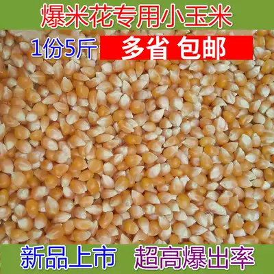 New goods farmer's own popcorn special corn burst small corn kernels popcorn machine raw materials 5 kg
