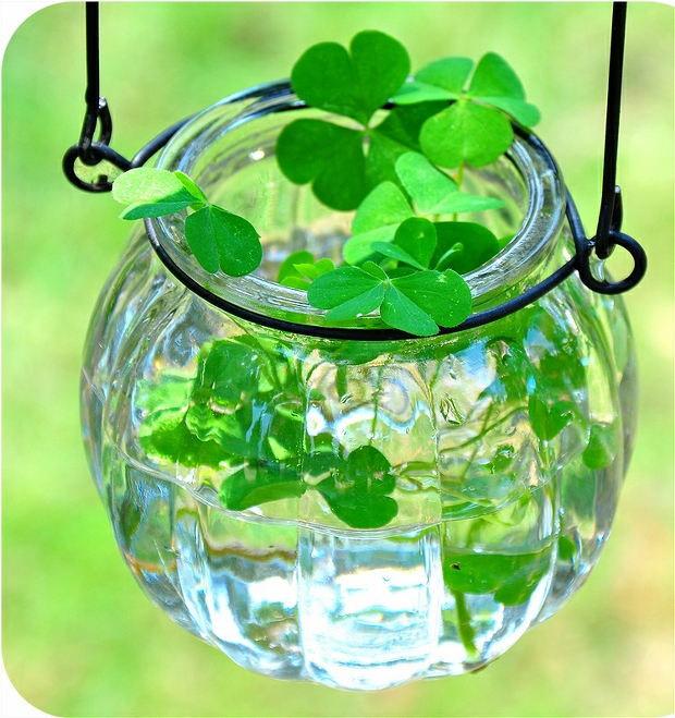 Treo tường bình treo nhỏ chai thủy tinh đơn giản treo chai thủy tinh Có móc dây thủy canh chậu hoa - Vase / Bồn hoa & Kệ bình sứ cắm hoa