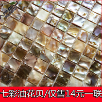 Aofei colorful oil flower shell mosaic tile net paste entrance living room bathroom shell tile European style