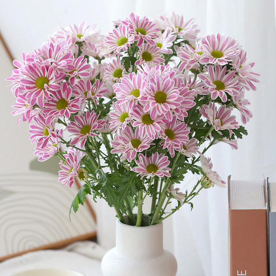 Chrysanthemums, small daisies, flowers, Ping Pong chrysanthemums, Yunnan Kunming base, straight hair, indoor water cultivation, vase flowers, air transport