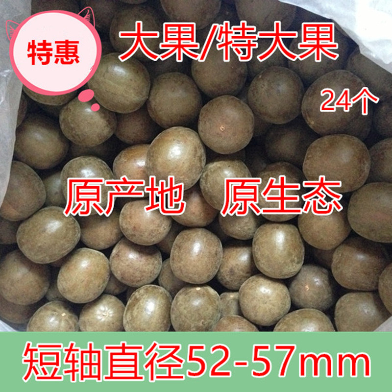 Luo Han Gou Luo Han Fruit 24 Guilin special products short diameter 57 - 63mm