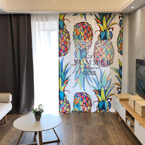2019 New Nordic ins Wind pineapple curtain trembles with creative Net red bedroom living room bay window partition curtain