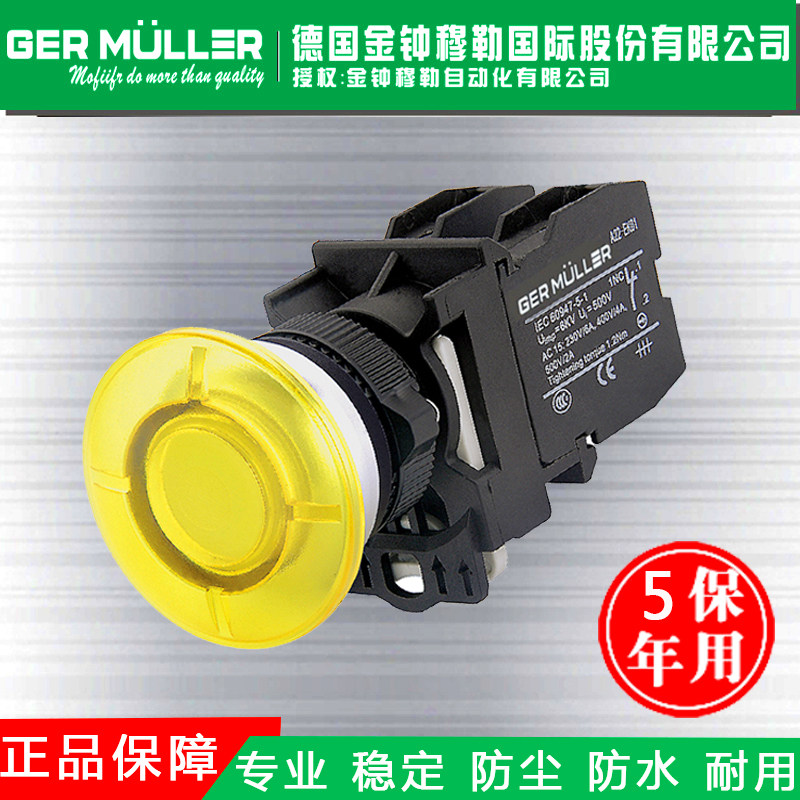 Illuminated mushroom head pushbutton switch Self-locking reset pushbutton switch Control switch button electric switch Gated switch