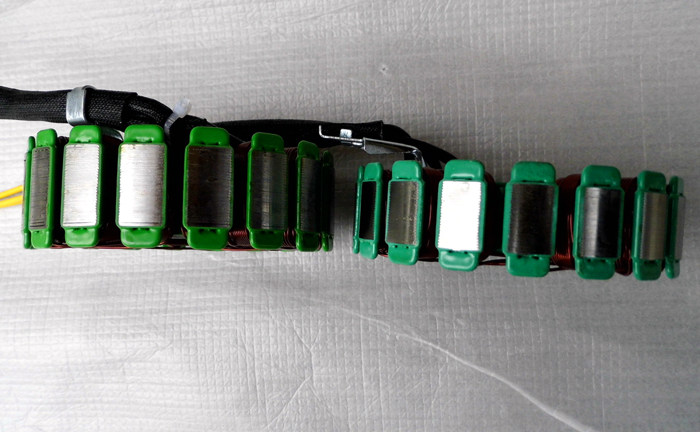 Earth Eagle King Coil DD250G-2N-2 DD250E-9A DD300 350 Stator Magneto Coil