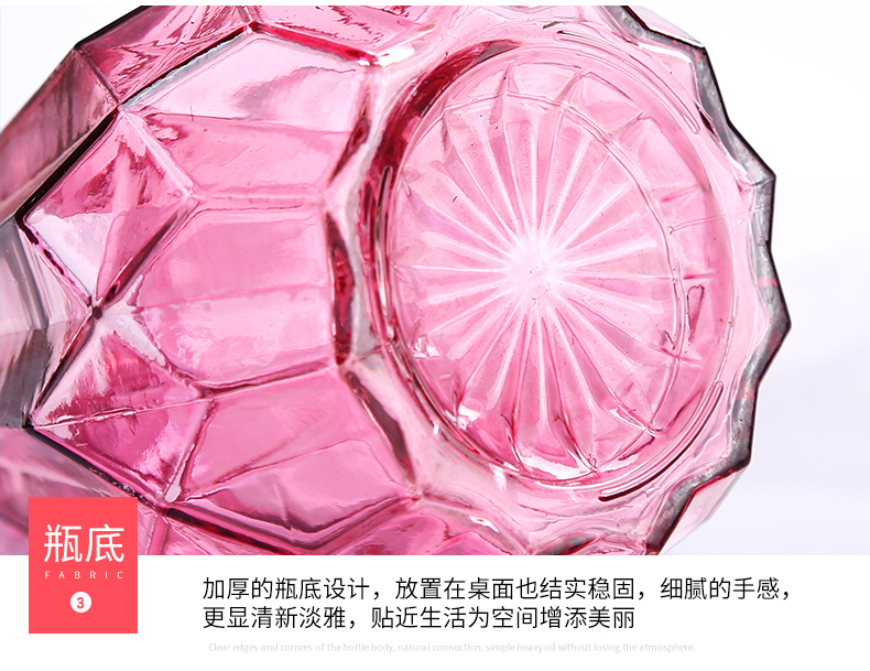 Bình thủy tinh Huipai bây giờ đơn giản trang trí phòng khách hoa khô bình hoa nhà cắm hoa bình nhỏ hai mảnh - Vase / Bồn hoa & Kệ chậu trồng cây