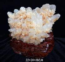 Natural crystal stone natural mineral crystal specimen ore original stone strange stone sea lily water zinc ore traditional painting stone snail