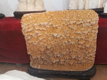 Bell Milk Stone Natural Raw Stone Junction Stone Screen Pendulum Piece Ornamental Stone Chiishi Stone Natural Stone Landscape Stone Wind Waterstone